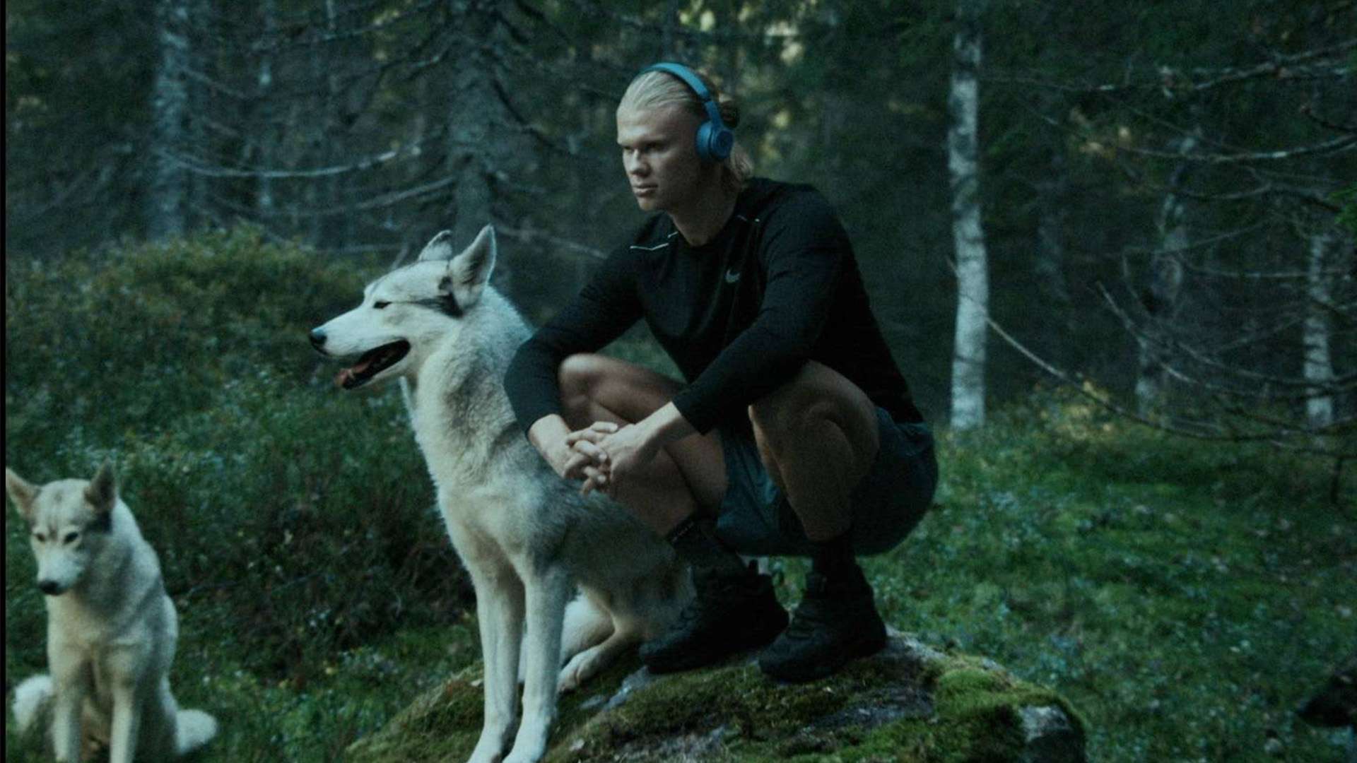 都充满了朝 都充满了朝