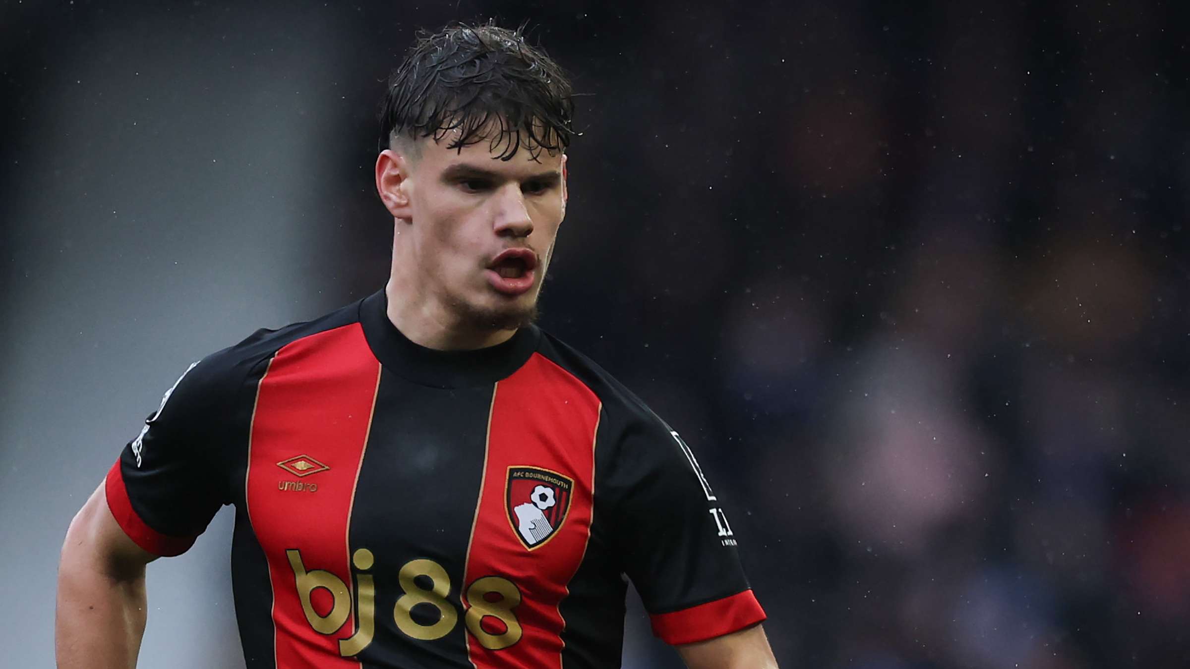 的完美结合 的完美结合